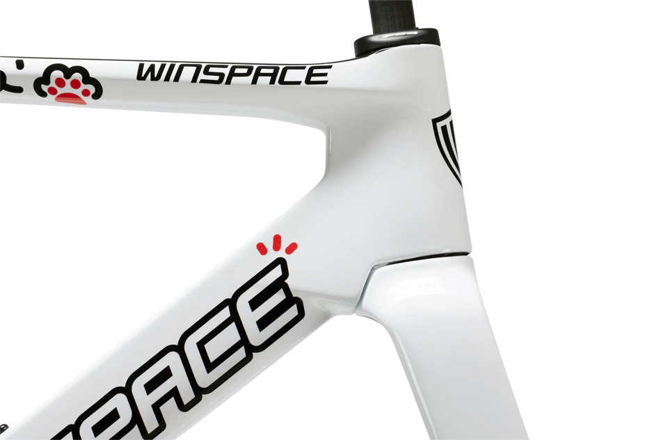 Winspace C5 Aero Graffiti Cat Edition - 105 Di2 Full Build 2x12s