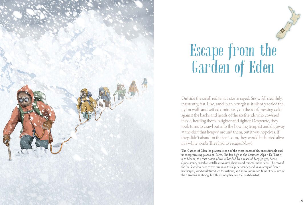 Survive Aotearoa (large format book, 248 pages),