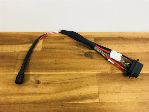 Focus Jam2 Battery (Lower) connector harness - Ova