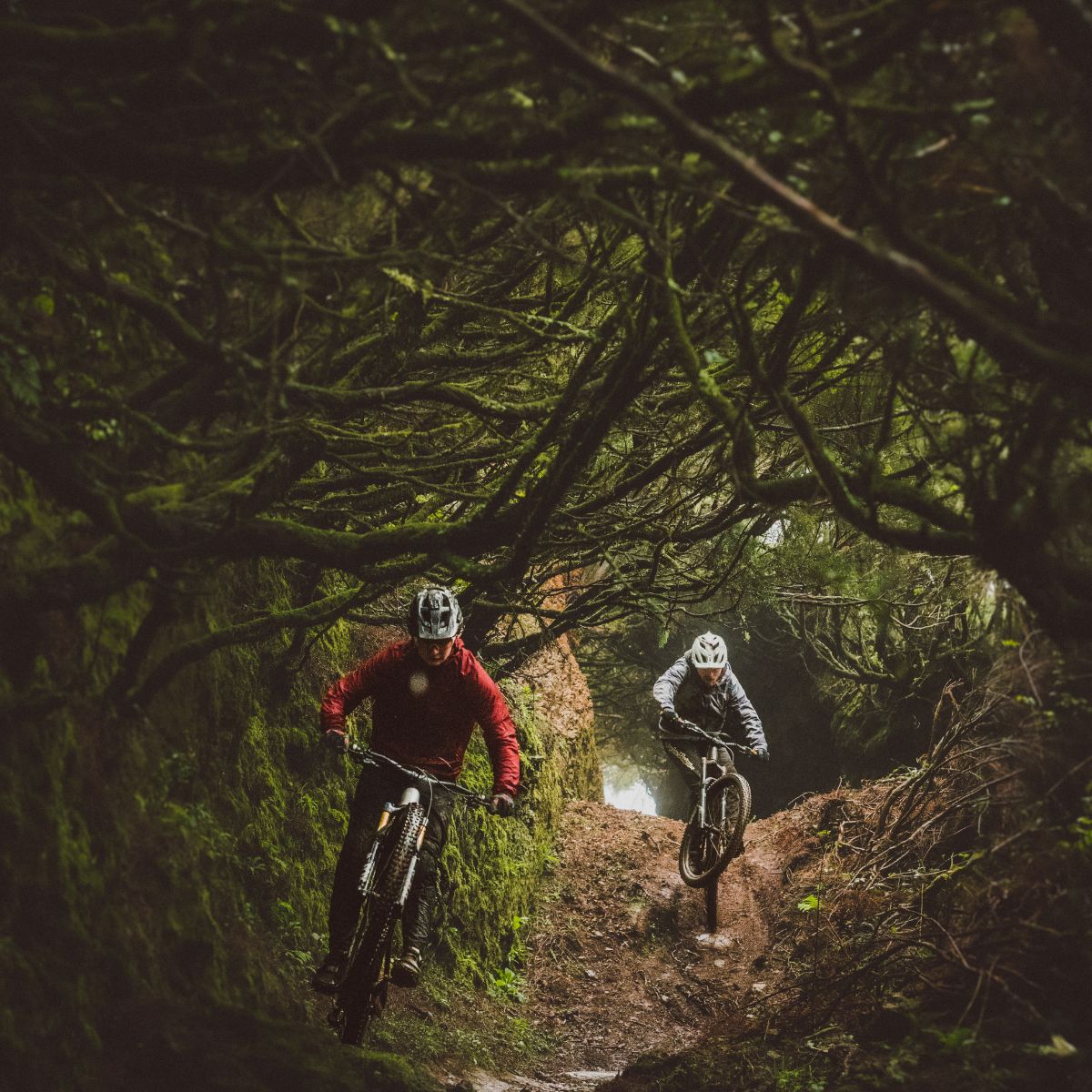 GOODYEAR MTB TYRE - ESCAPE INTER TRAIL LITE UHP - 29 x 2.4"