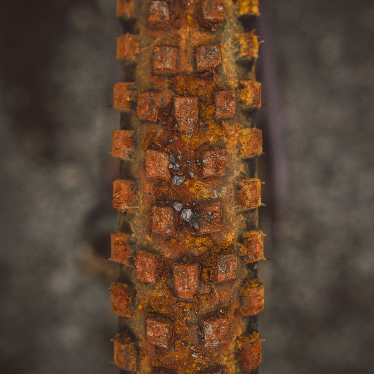 GOODYEAR MTB TYRE - ESCAPE MAX TRAIL LITE GRIP3 - 29 x 2.4"