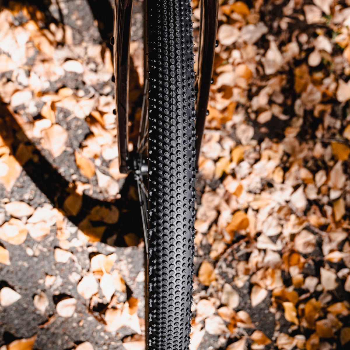ENVE - HEX CARAPACE GRAVEL TYRE - BLACK
