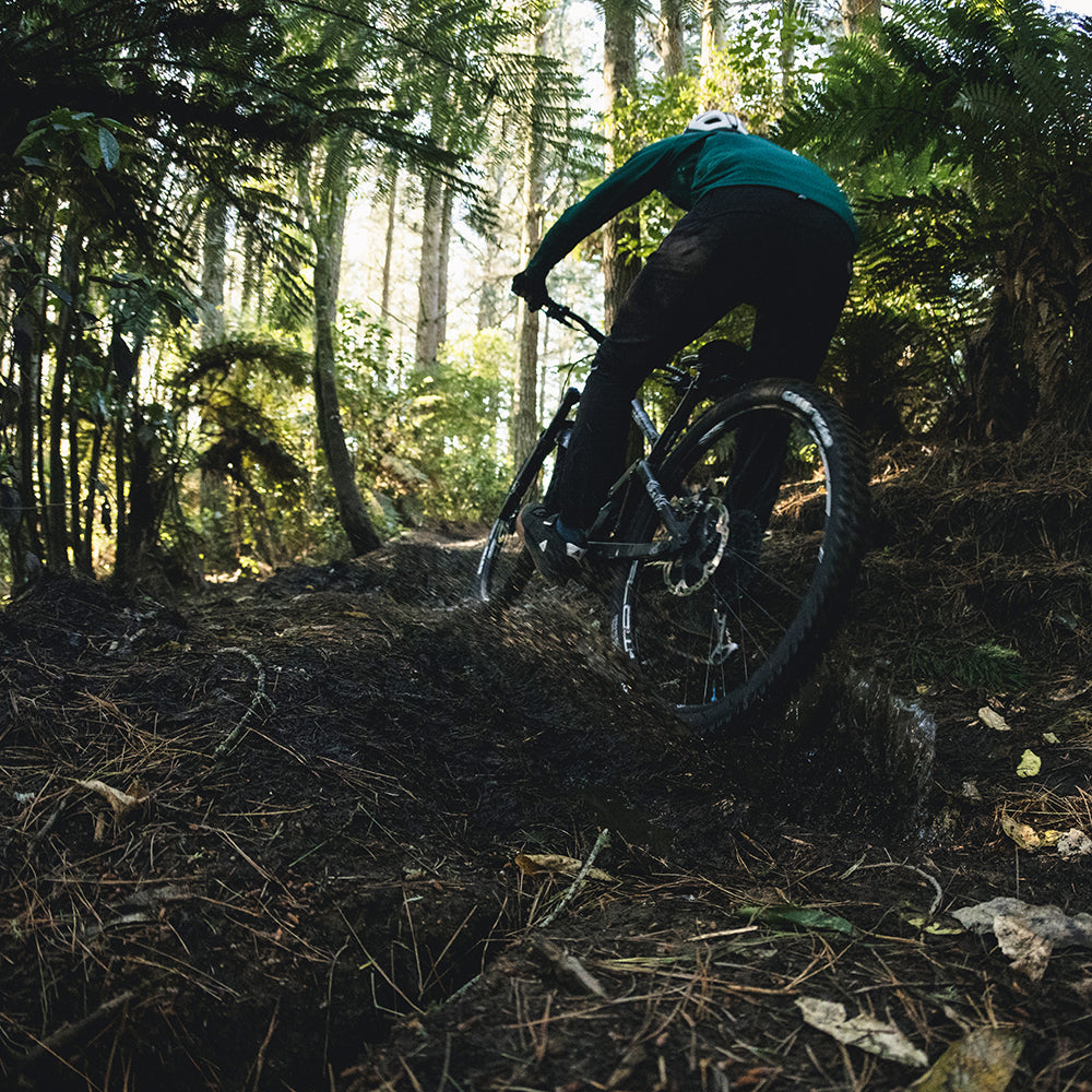 FLOW EX3 ON DT350 MTB WHEELS