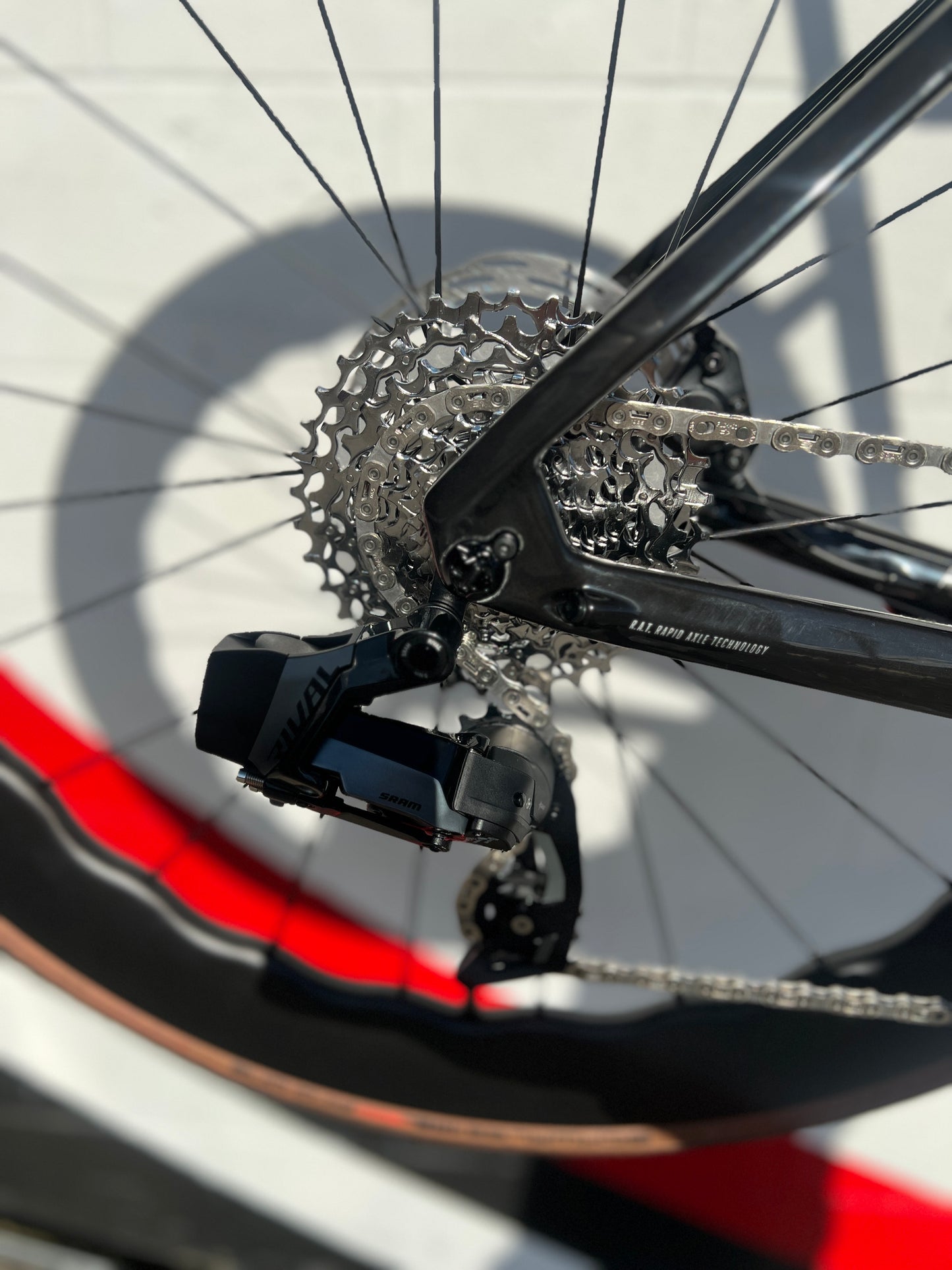 Focus Izalco MAX Disc Rival AXS E1 - Custom Build