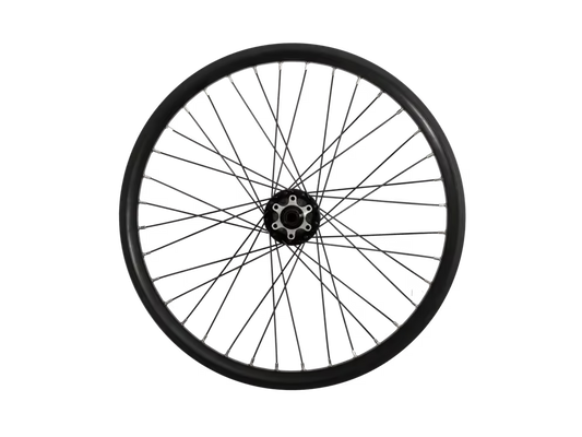 Yuba Spicy Curry V3 20" Rear Wheel