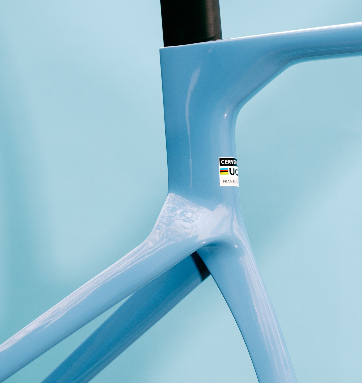 Cervelo S5 Limited Edition Frameset - Lupine