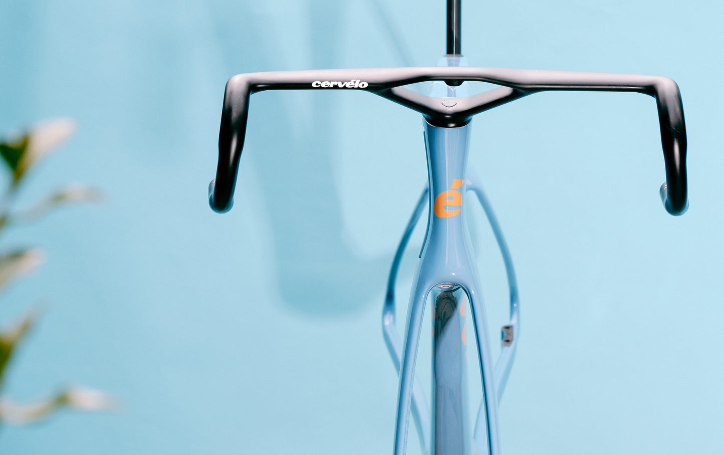 Cervelo S5 Limited Edition Frameset - Lupine