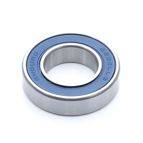 Enduro Radial Bearing 6902