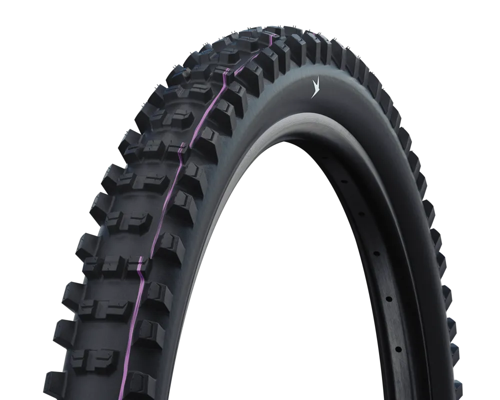 Schwalbe Shredda Rear Radial 29"