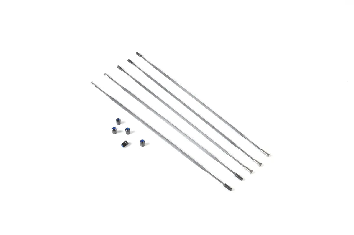 X Lab Branta Spoke Carbon Rf18 For Ad9