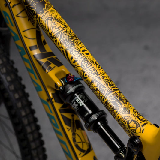 DYEDBRO MTB FRAME PROTECTION - VIKING GLOSS