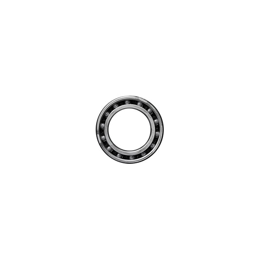 CERAMICSPEED - HUB BEARINGS - COATED