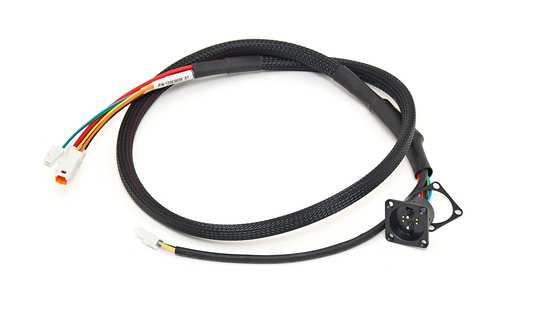 Focus  Jam2 7 Series Y-Harness